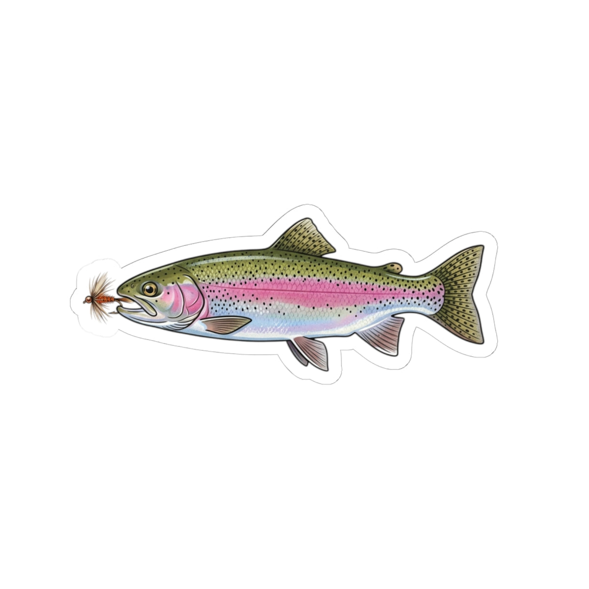 Rainbow Trout Fishing Sticker — Vinyl Decal with Fly
