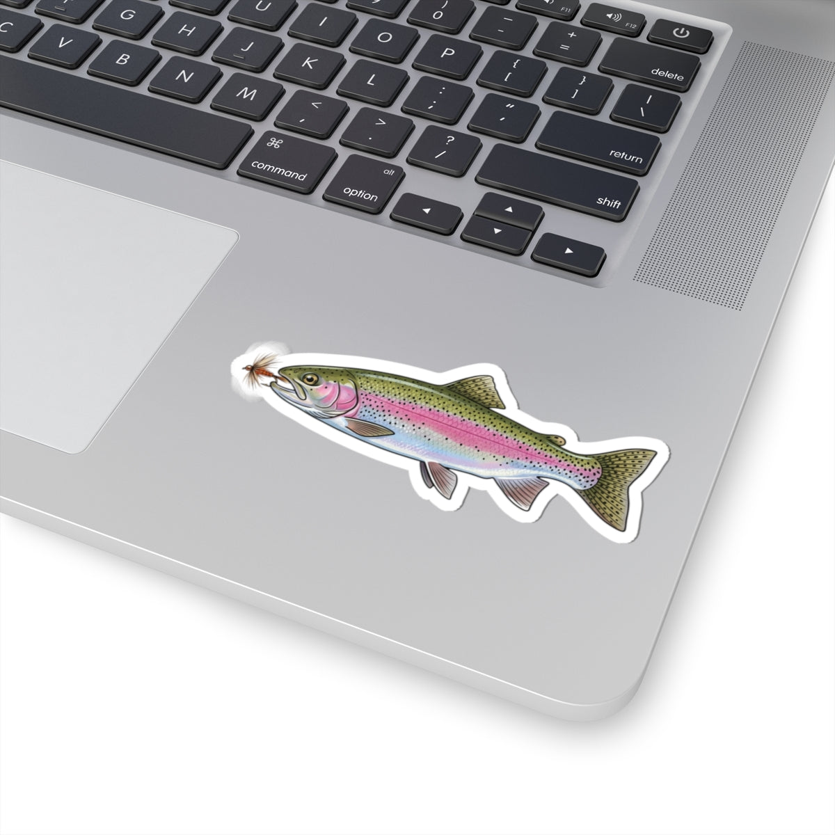 Rainbow Trout Fishing Sticker — Vinyl Decal with Fly